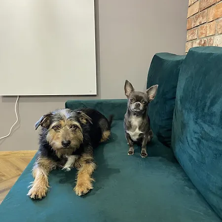 Rose Valley Dwa Zero *