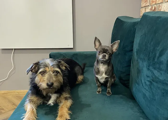 Rose Valley Dwa Zero *